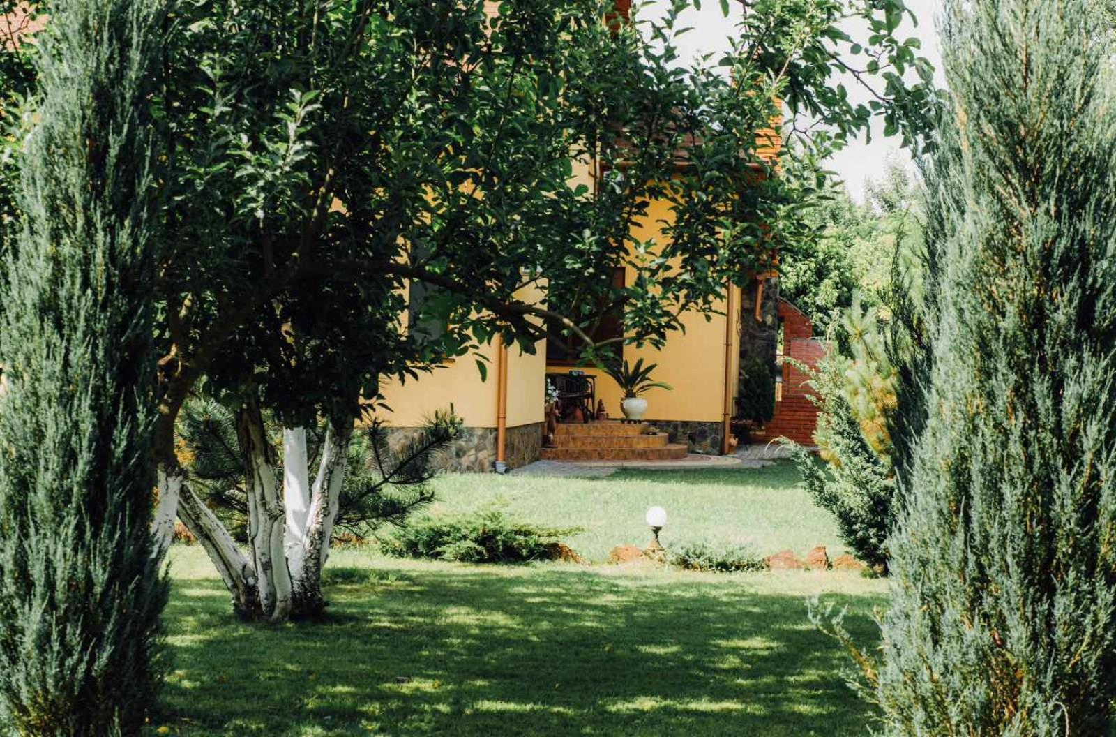 Villa Fenix Berehove  Exterior photo